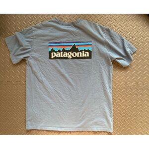 Mens Patagonia t-shirt